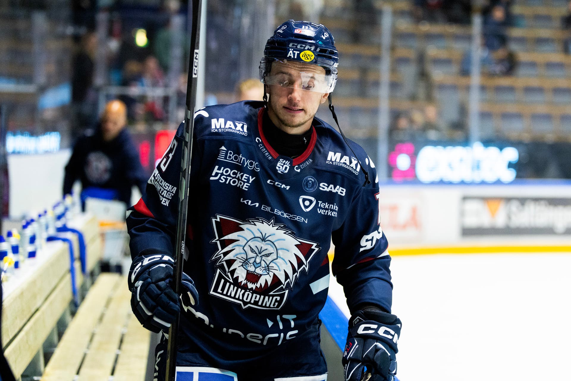 vrana