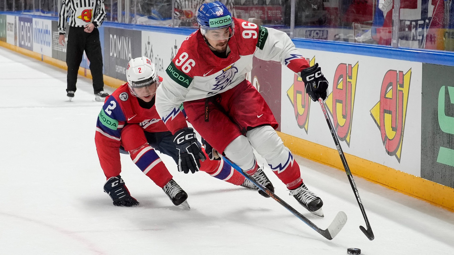 (28212) David Tomasek