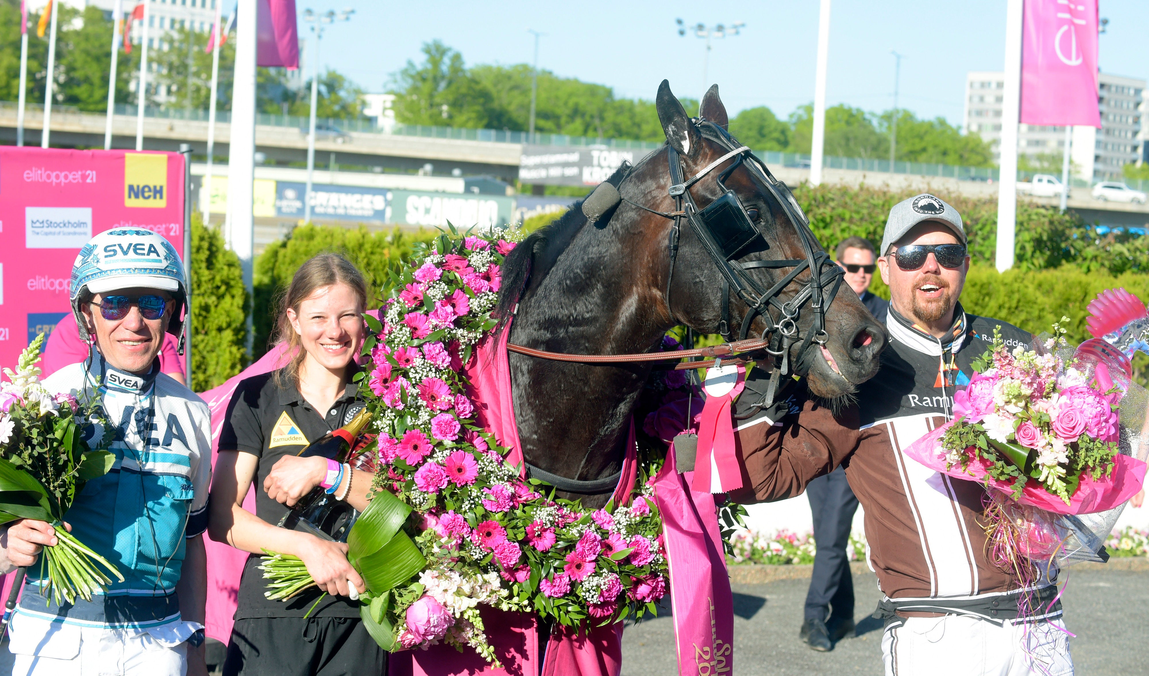 WkXpruuVrImhoIE62x9uca don fanucci elitloppet