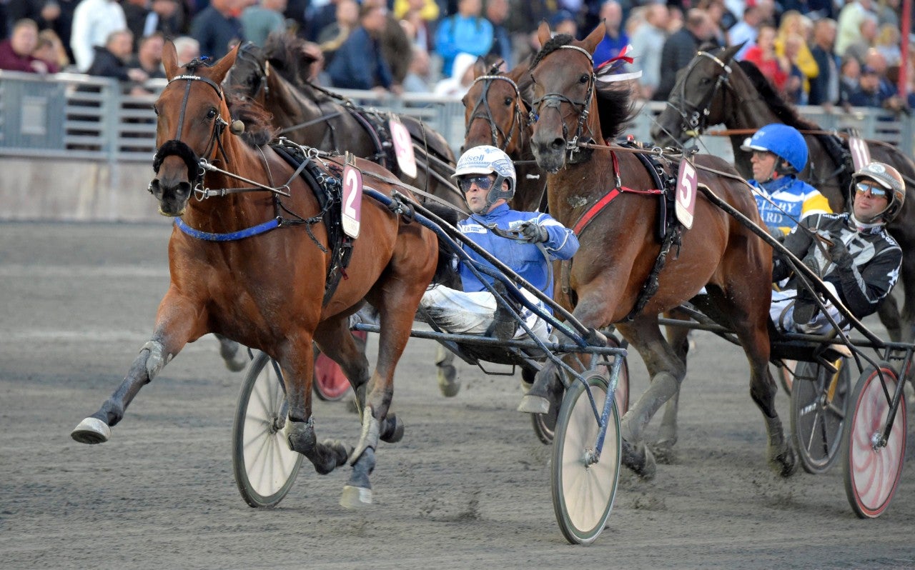 YZxW4XzzubkfQ3zsW4DJEk (131221) Uza Josselyn mål (2) (1)