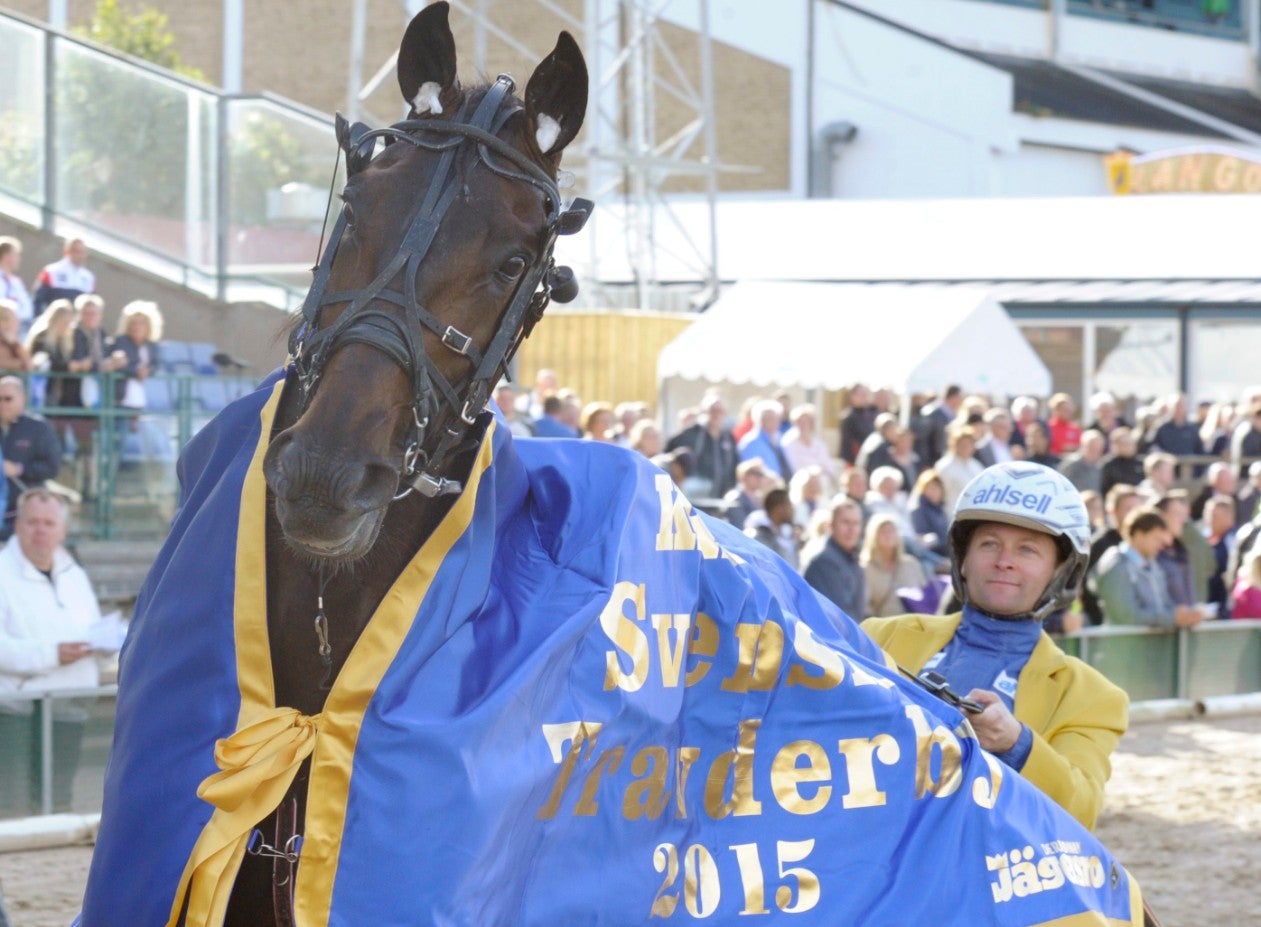 uudnUfIeZmlDjM9a7h8ftF (133621) Conlight Ås täcke (1)