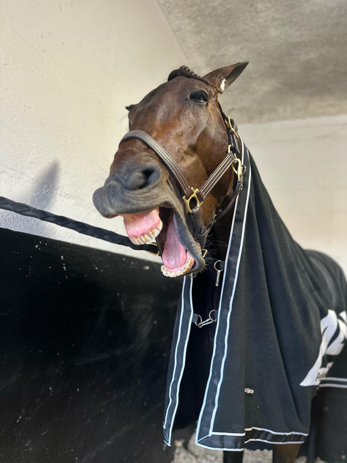 9M8g7KJ8GgPptnqPyEGE9d Epic Kronos