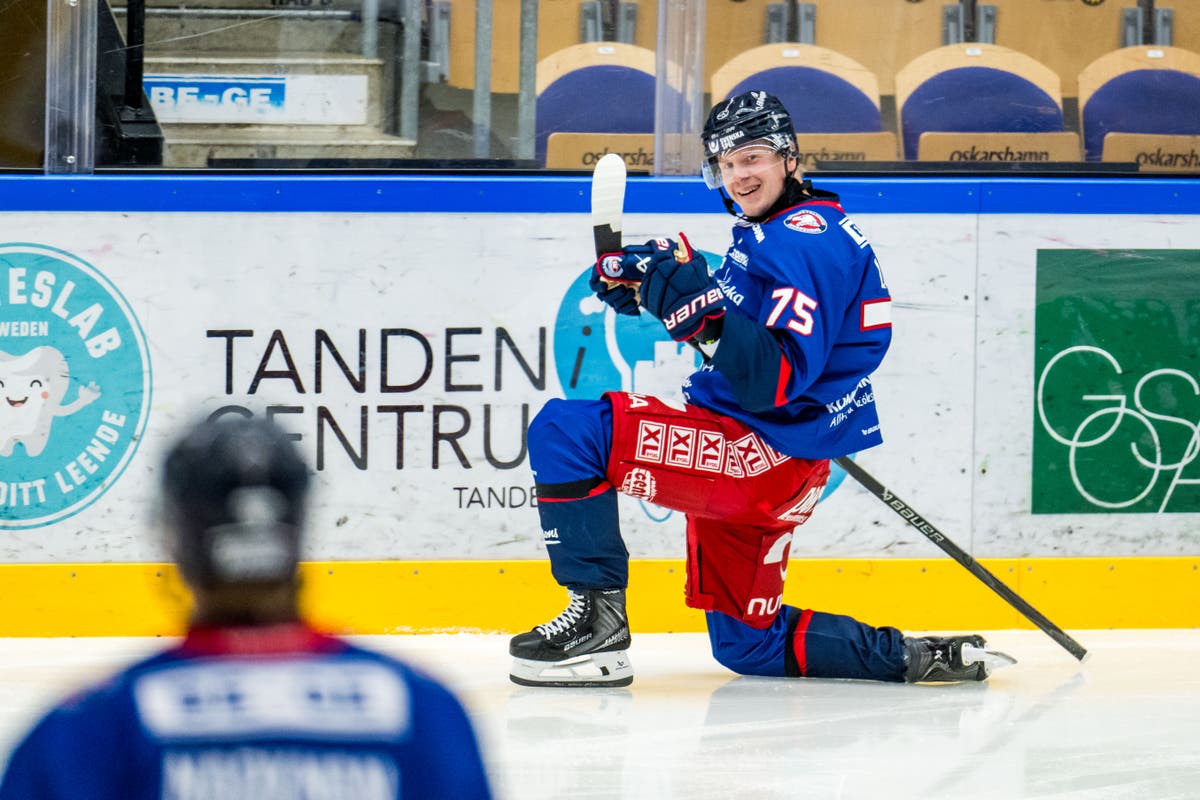 Teemu Lepaus