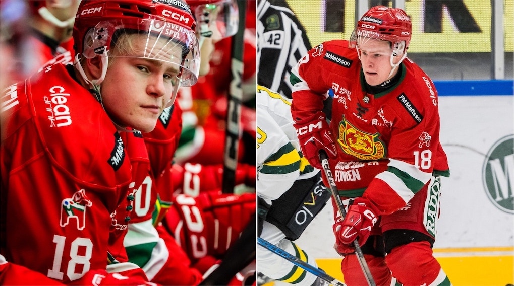 Martin Johnsen