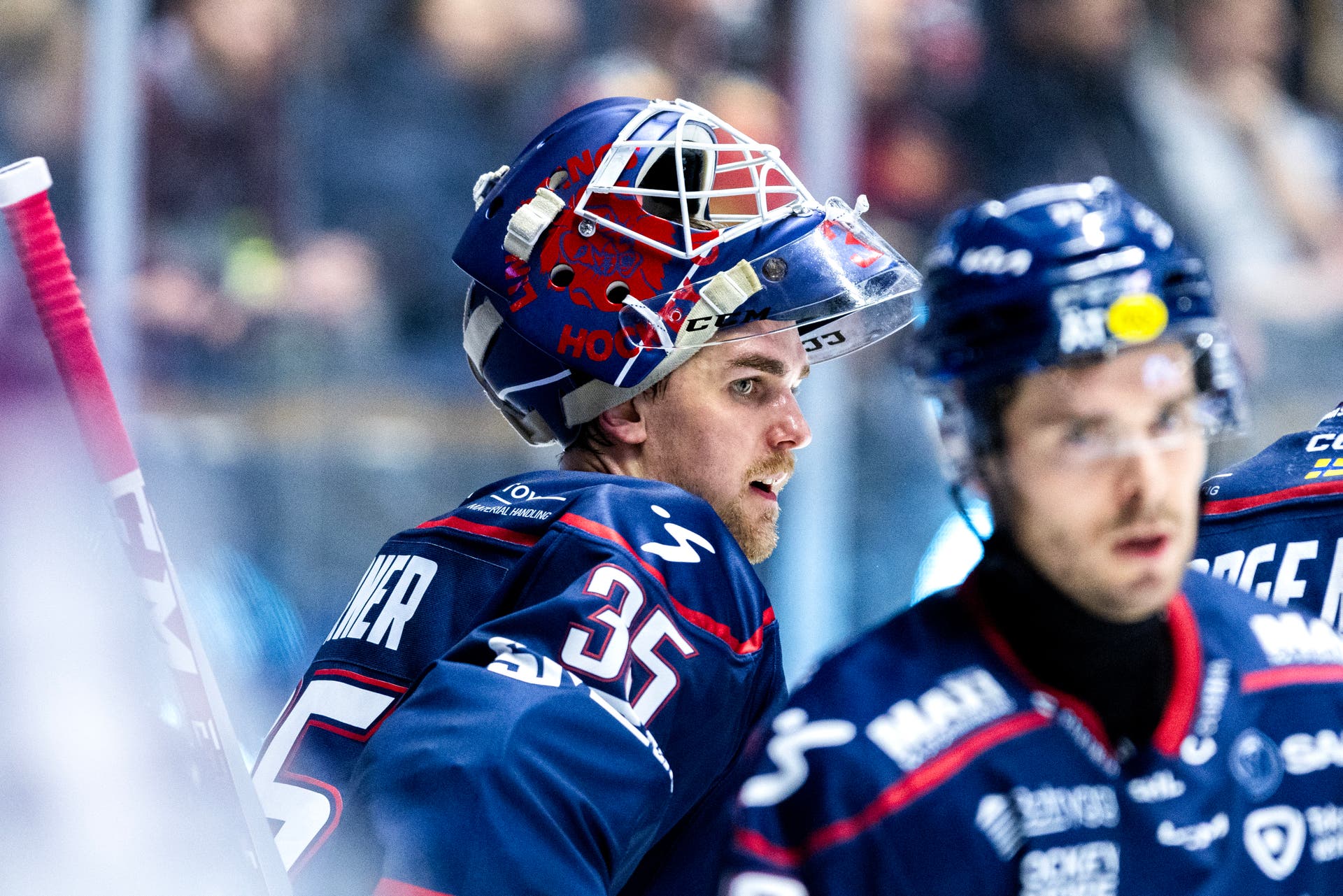 Adam Werner