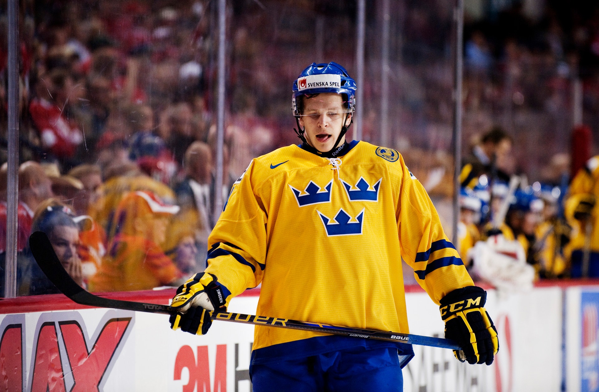 Max Friberg