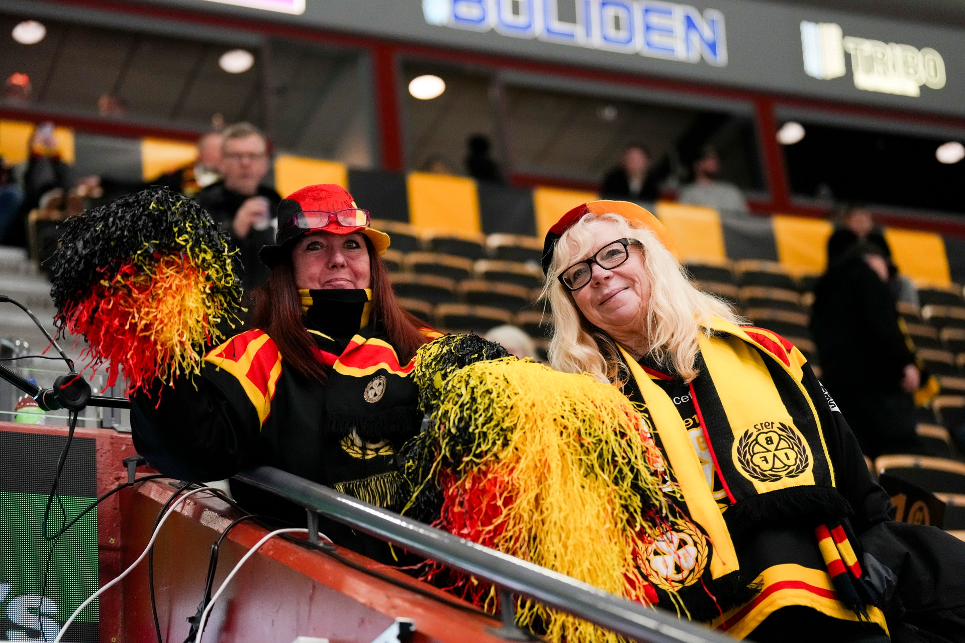 Brynäs fans