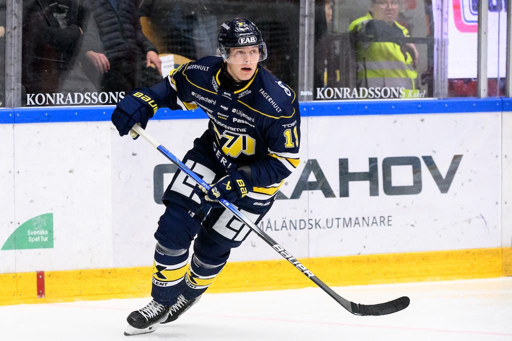 (28987) Henrik Borgström