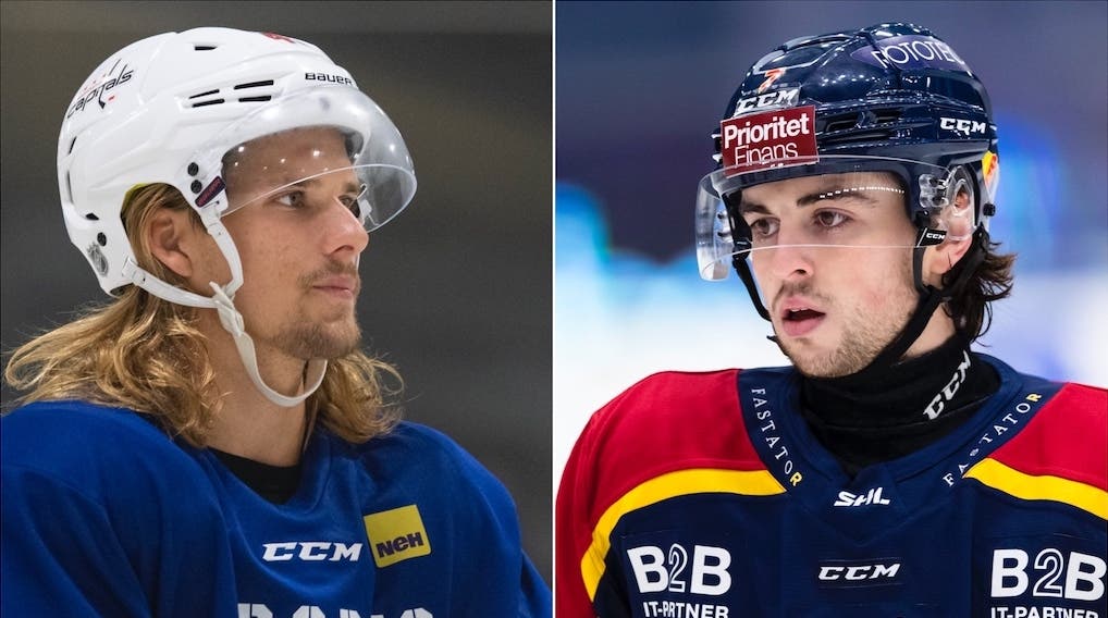 (20748) Jonsson Fjällby/Nardella