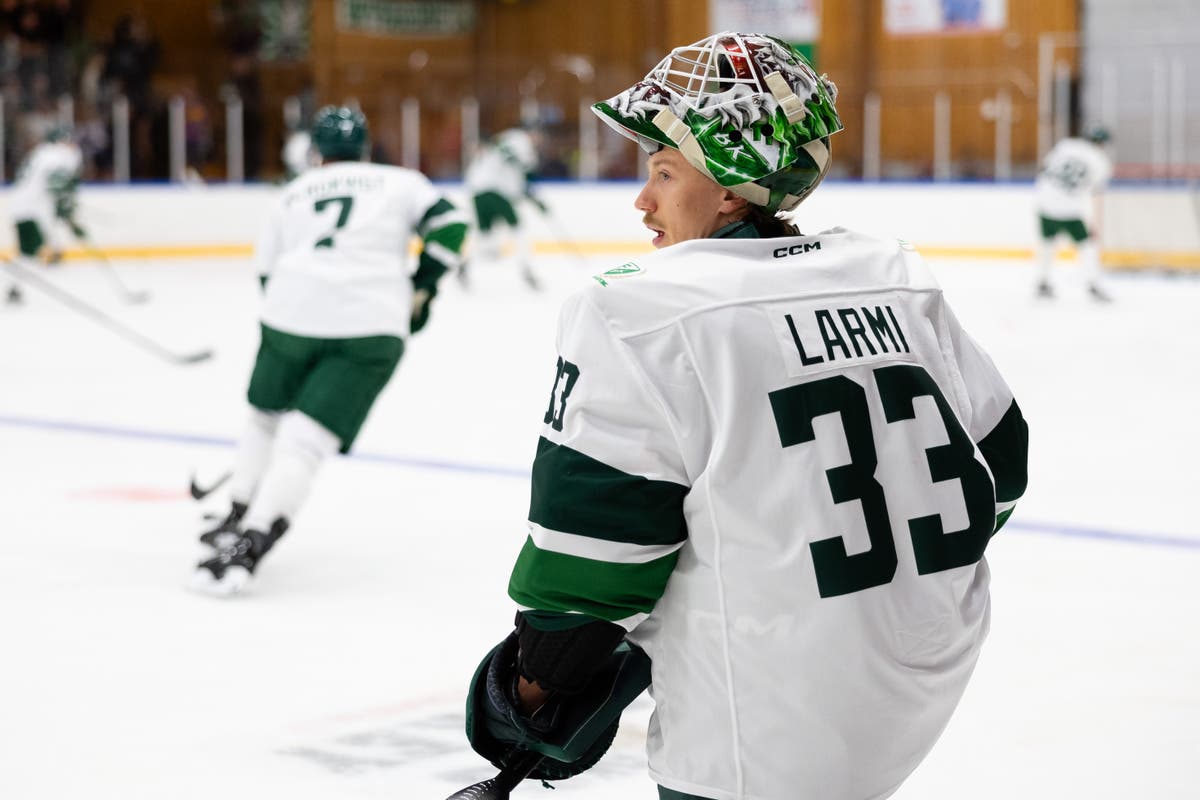 Emil Larmi