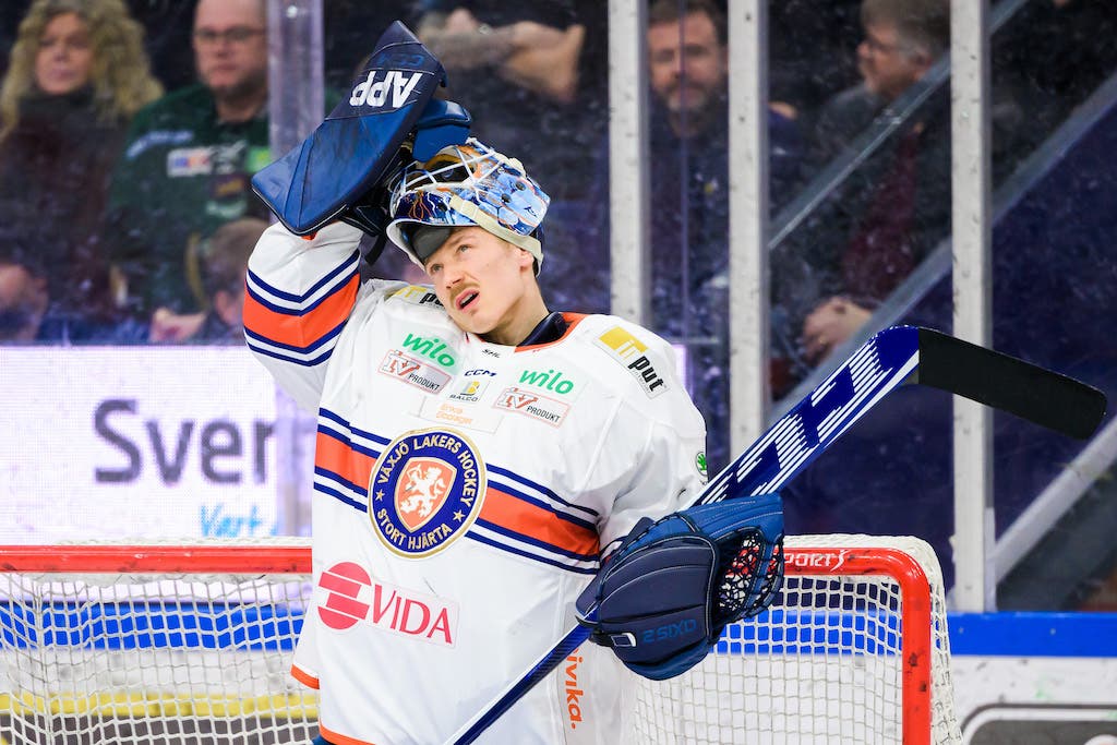 (26303) Emil Larmi Växjö