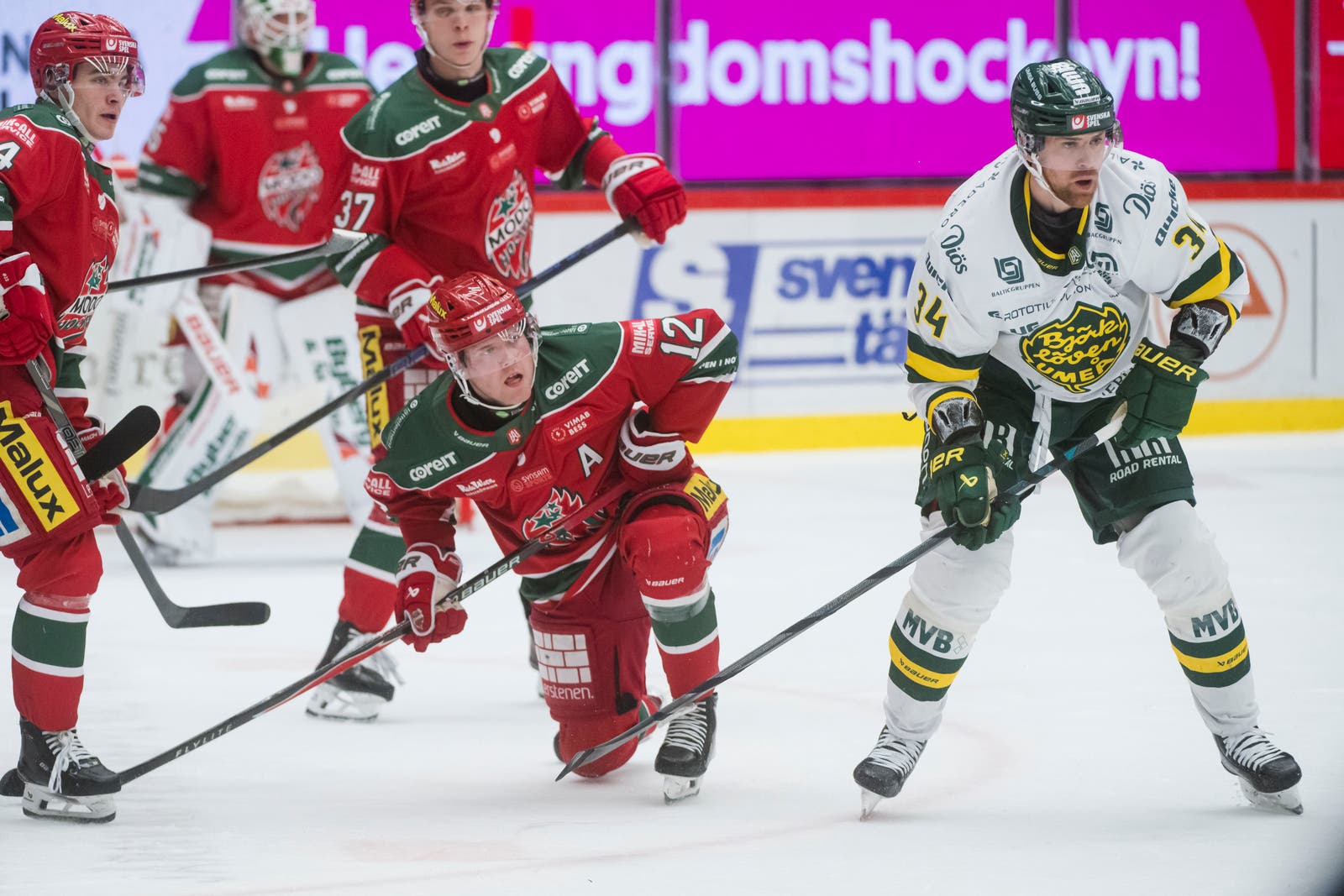Oscar Pettersson, Daniel Brodin