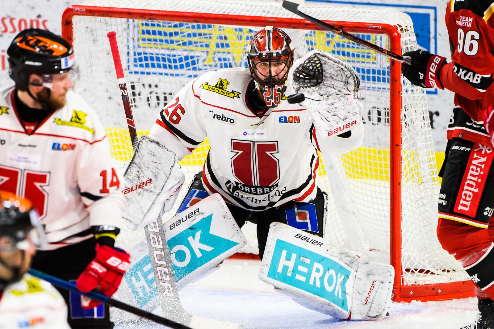 (14627) Stefan Steen