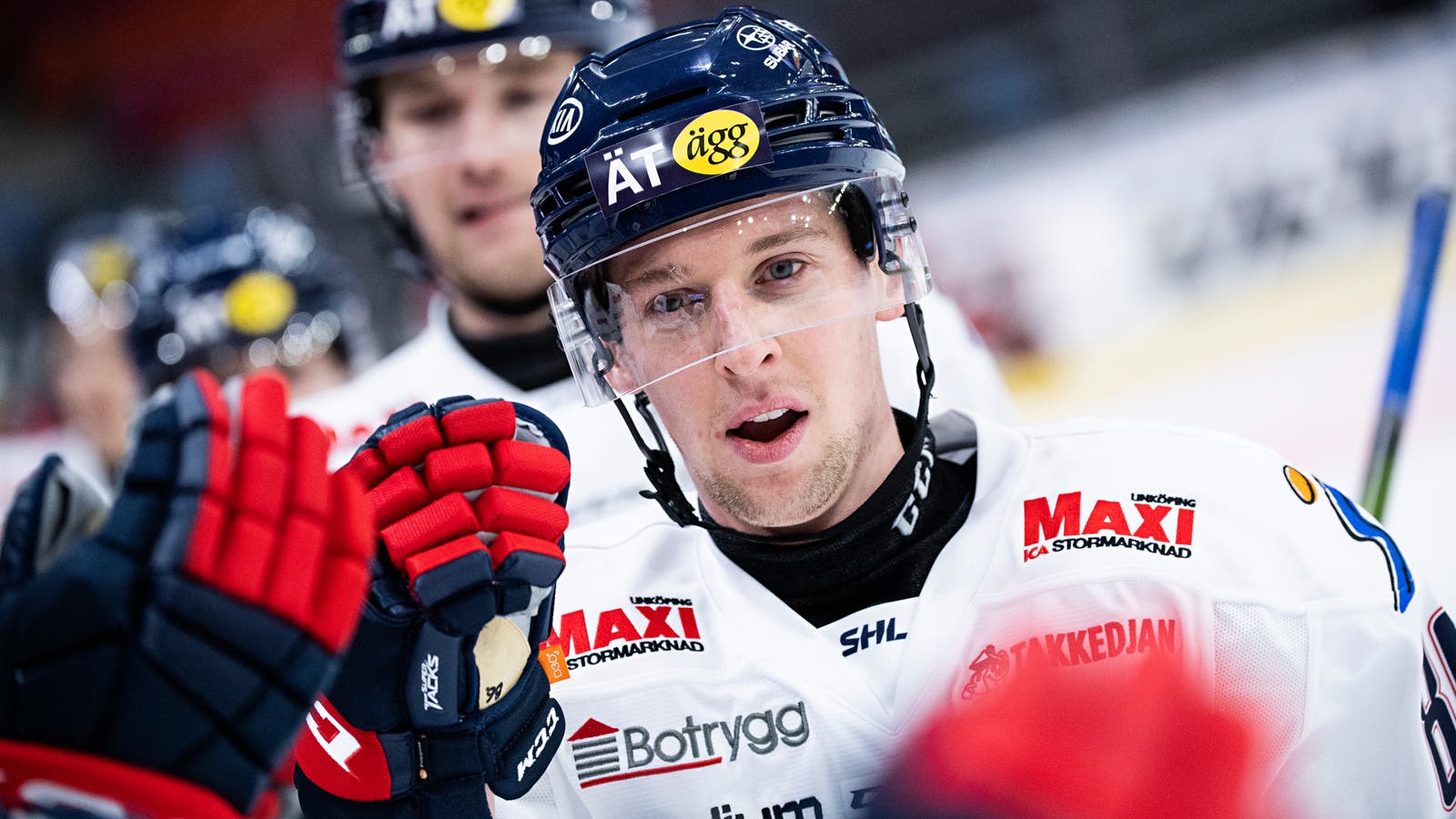 (17465) Tyler Morley