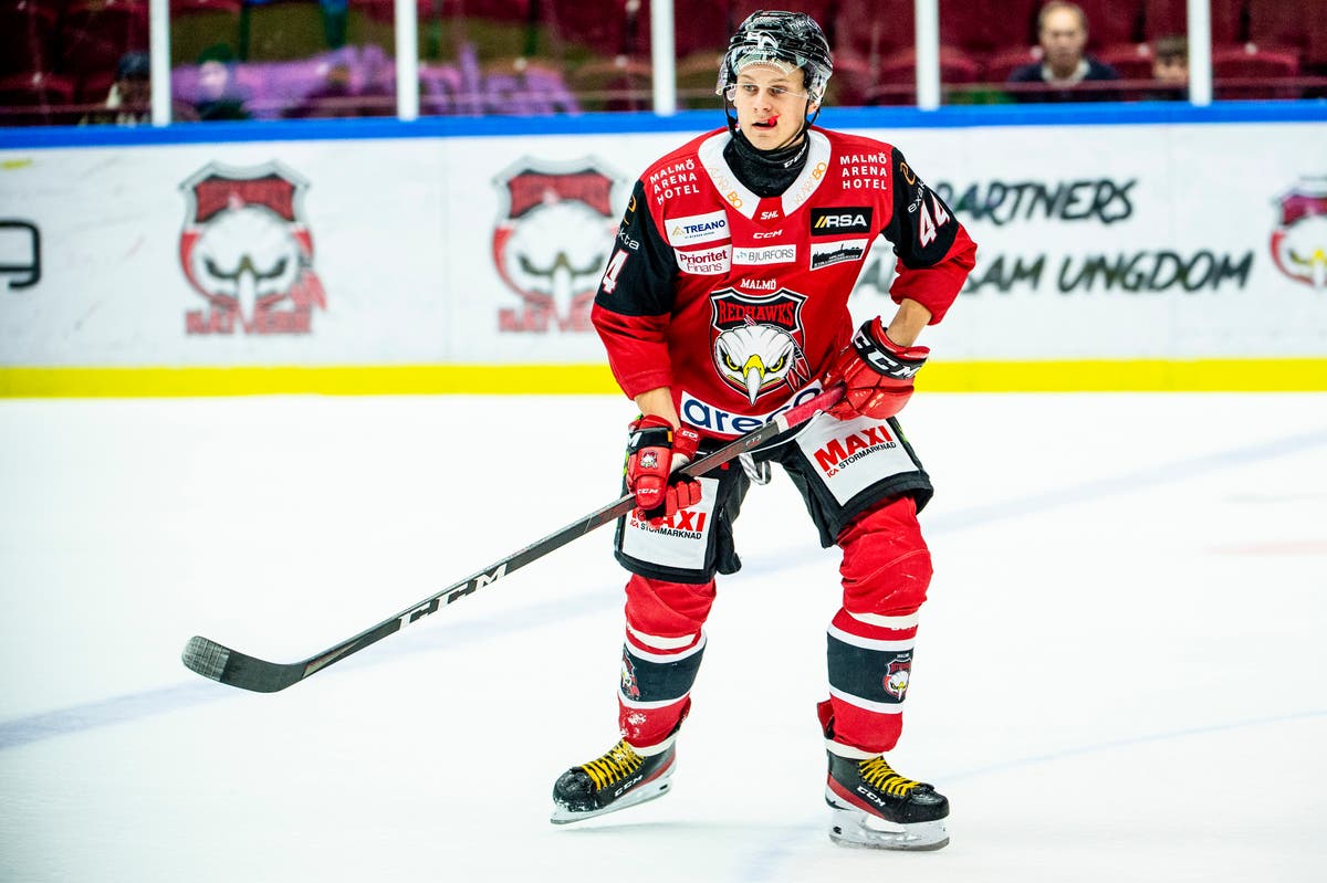 Tim Lindfors