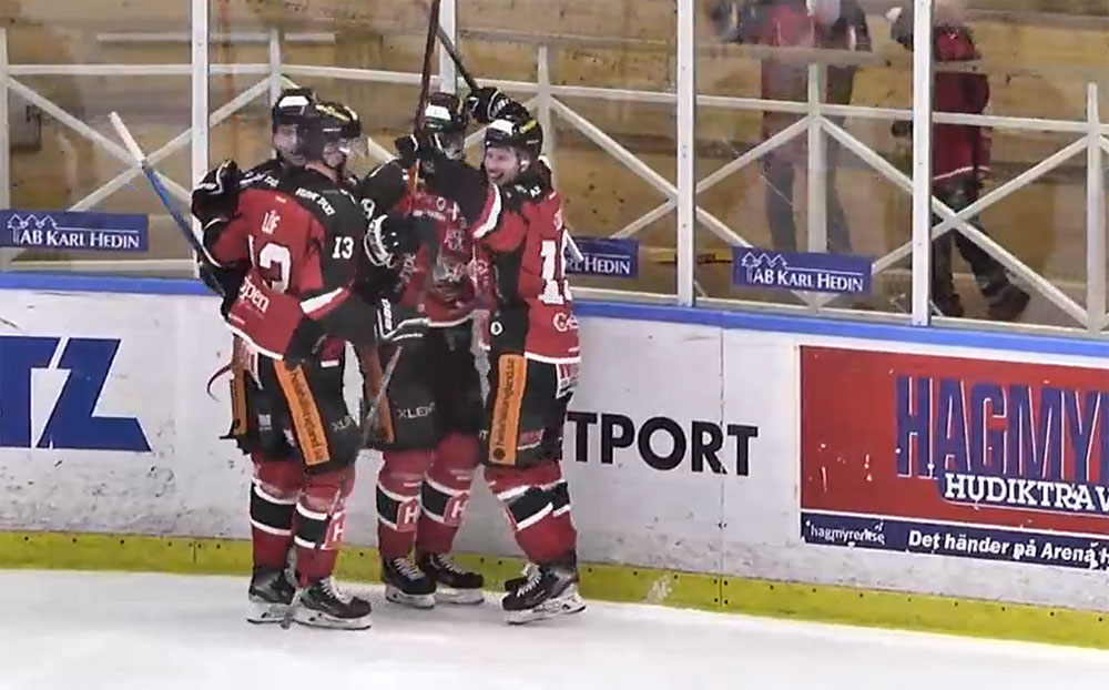 (12330) Hudiksvall jubel