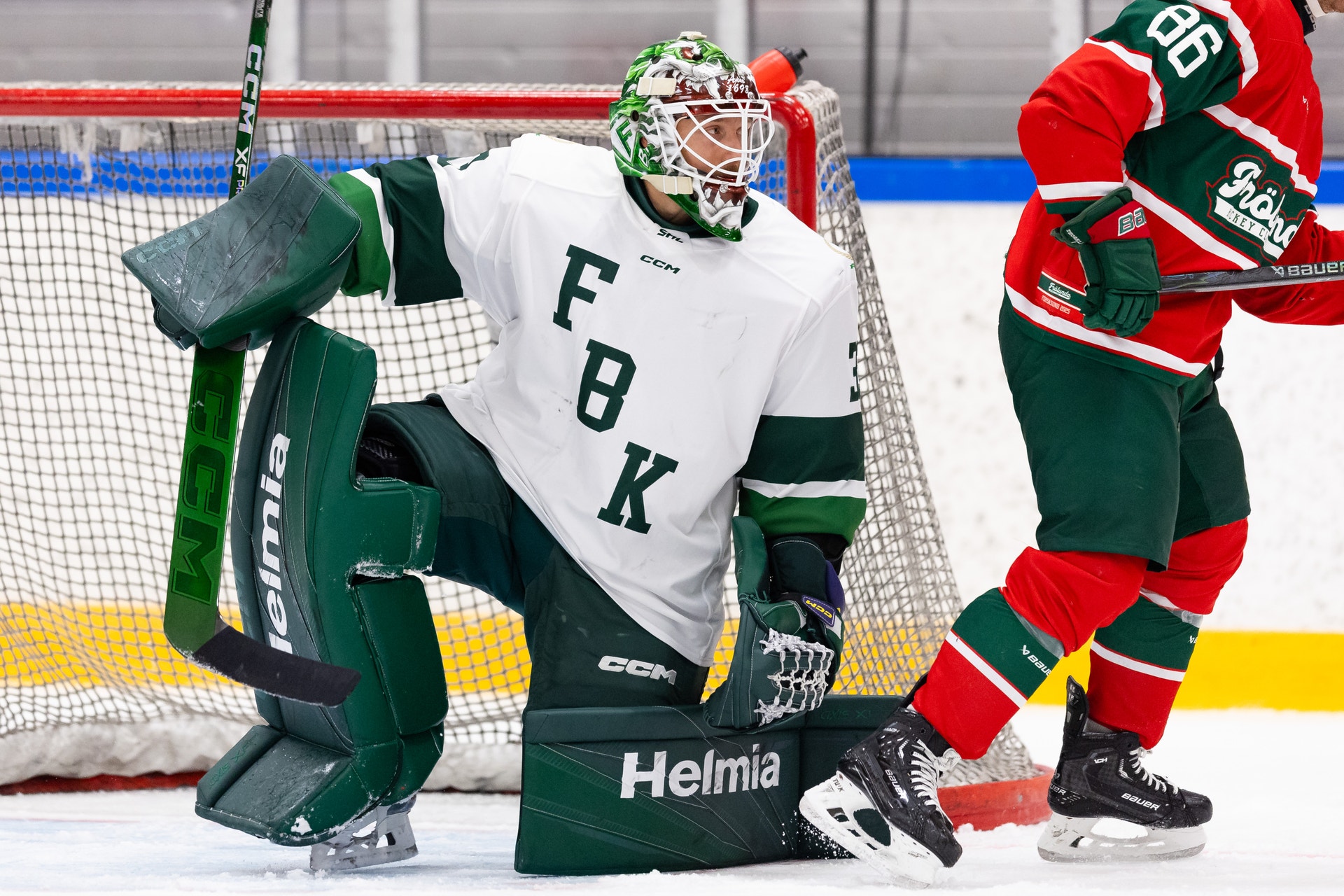 Emil Larmi Färjestad