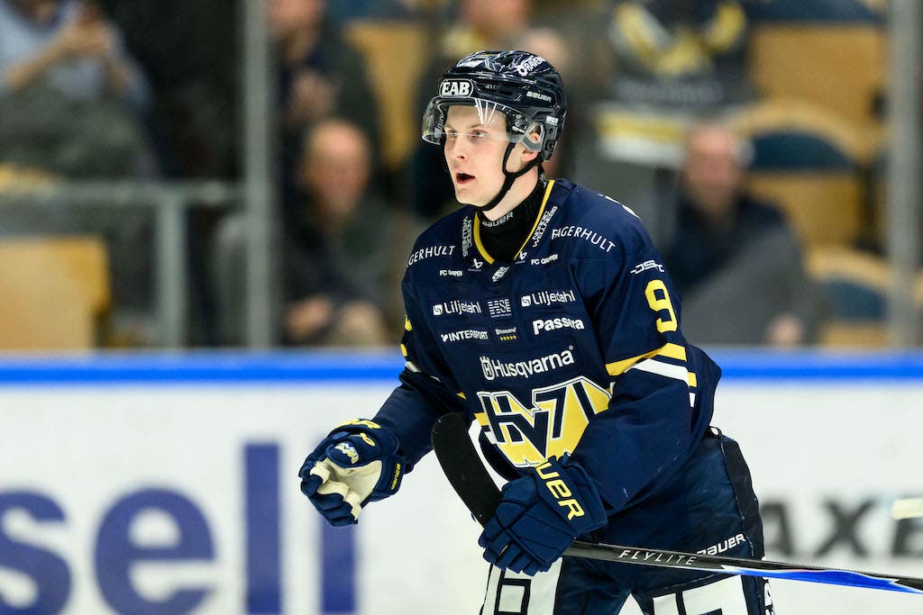 Hugo Pettersson