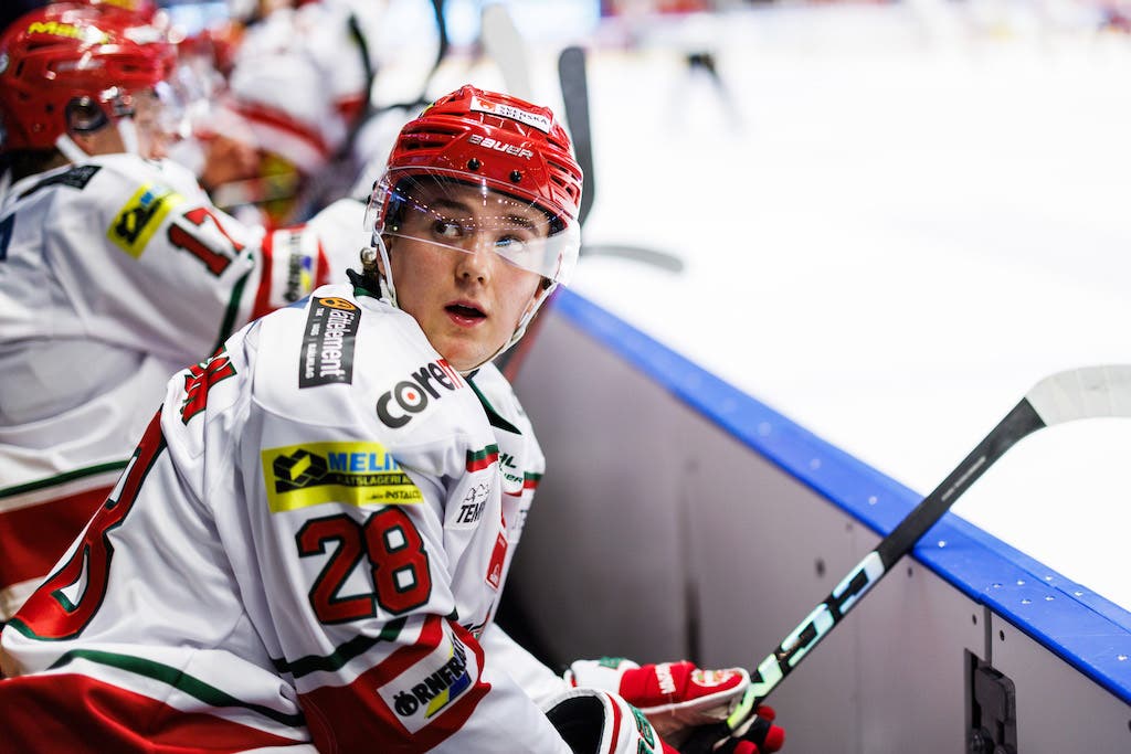 (32067) Theo Jacobsson