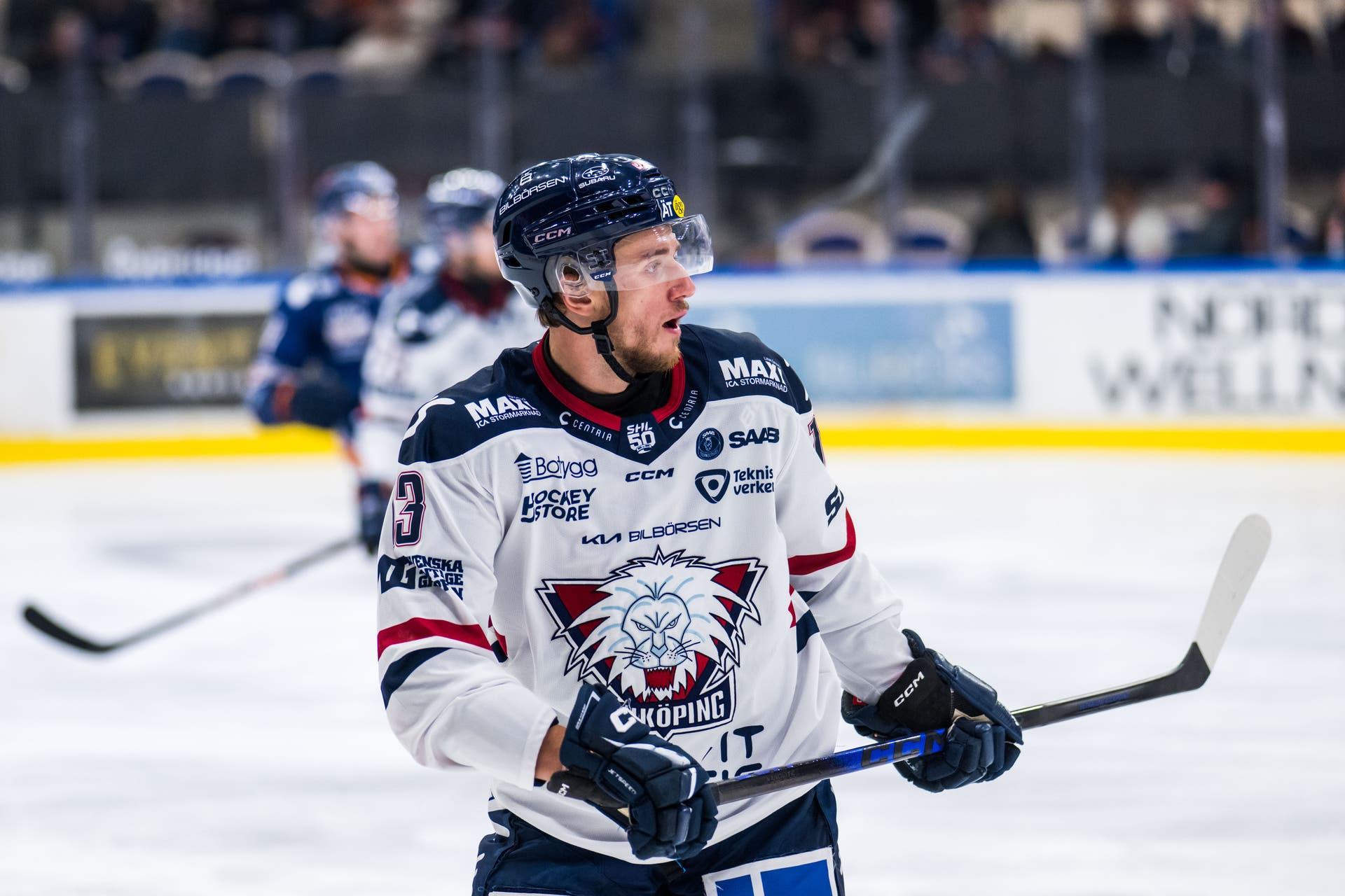 Vrana