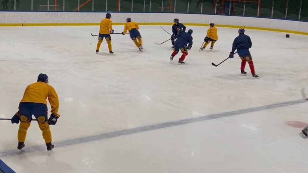 Djurgården träning Mälarhöjdens ishall 5 nov 2025