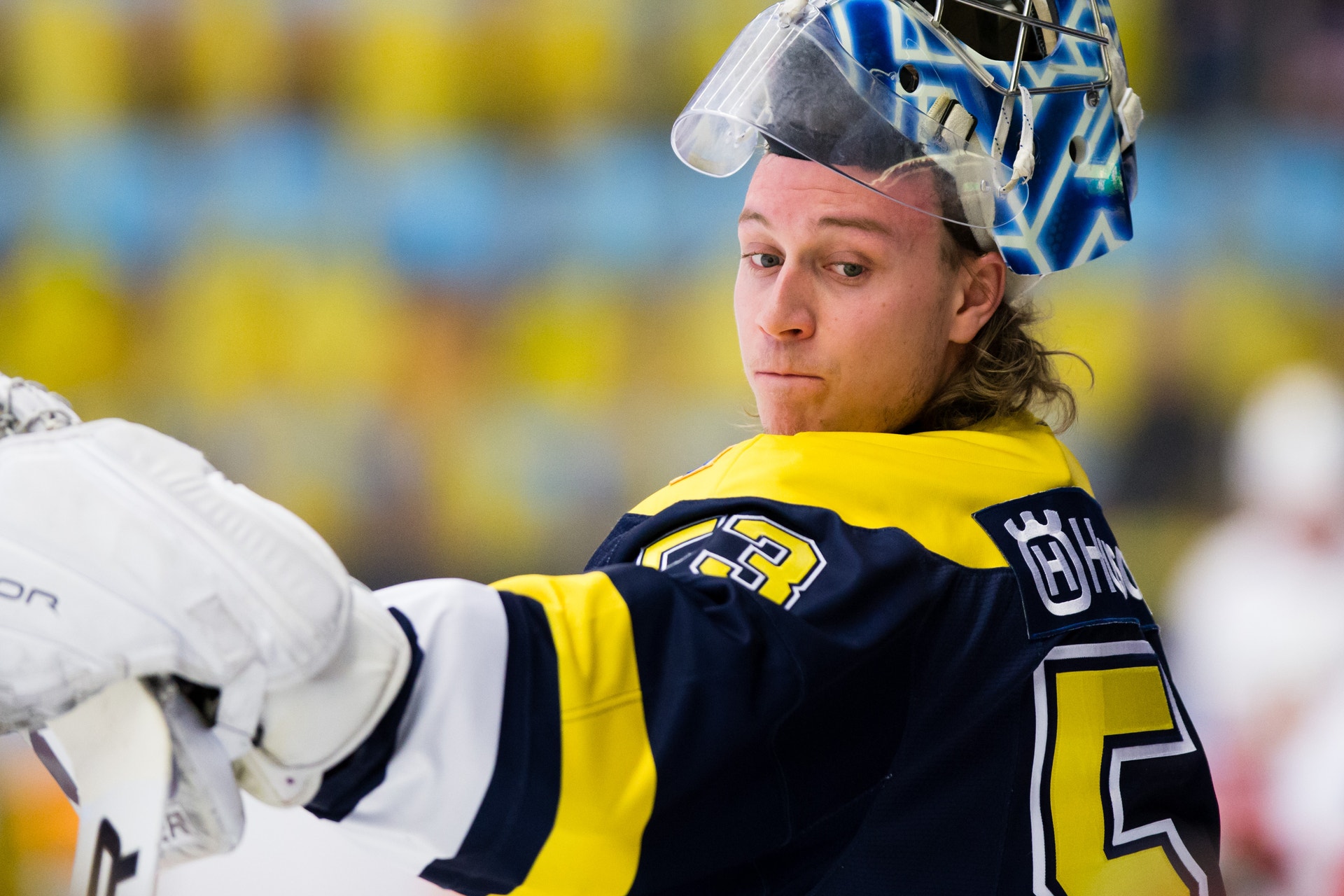 (8053) Fredrik Pettersson-Wentzel