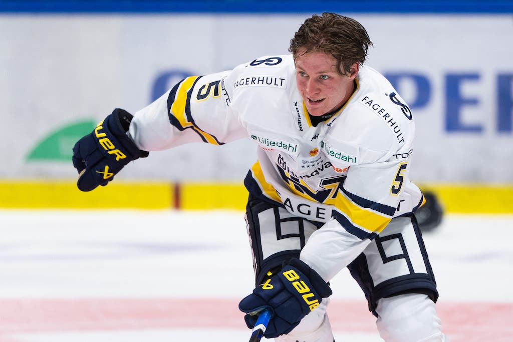 (25102) Victor Sjöholm HV71