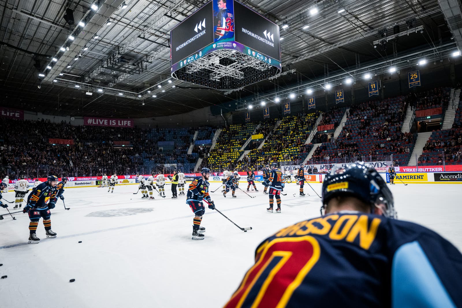 Hovet Djurgården 