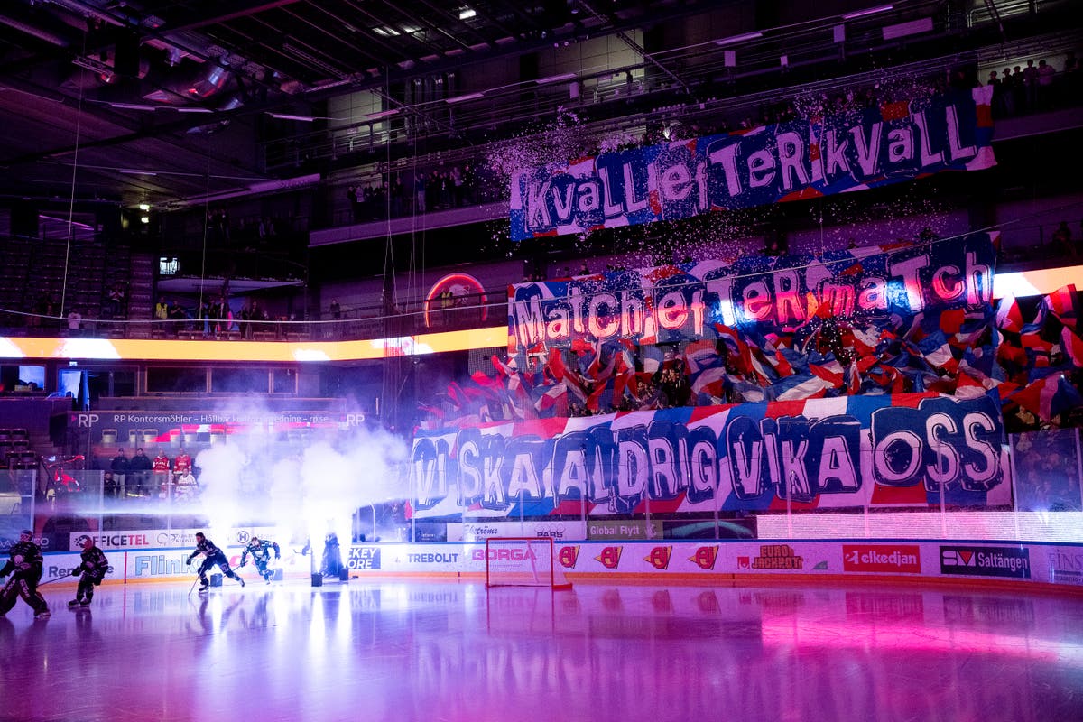 Linköping publik