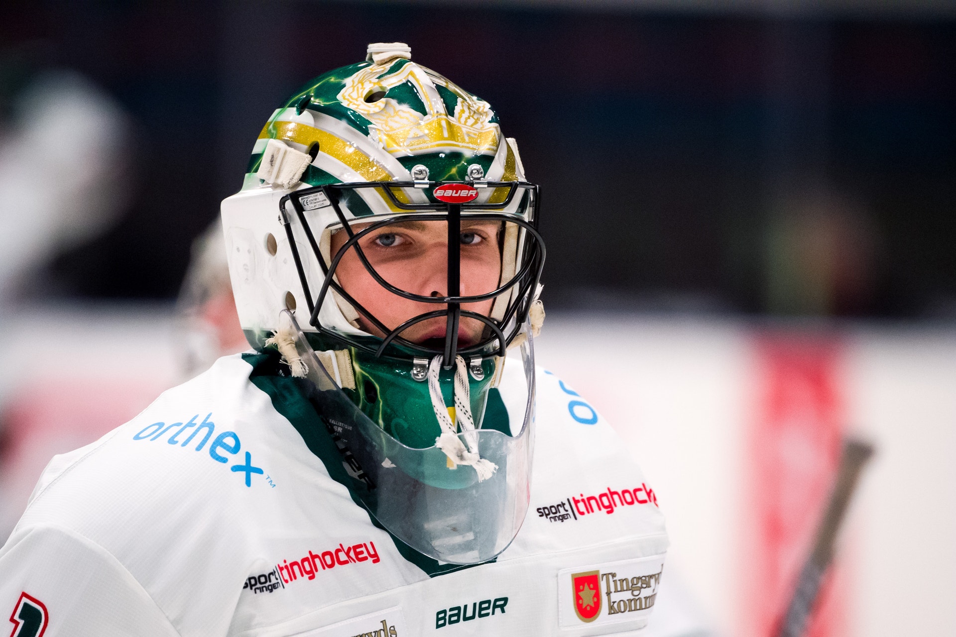 (8142) andreas ljunggren