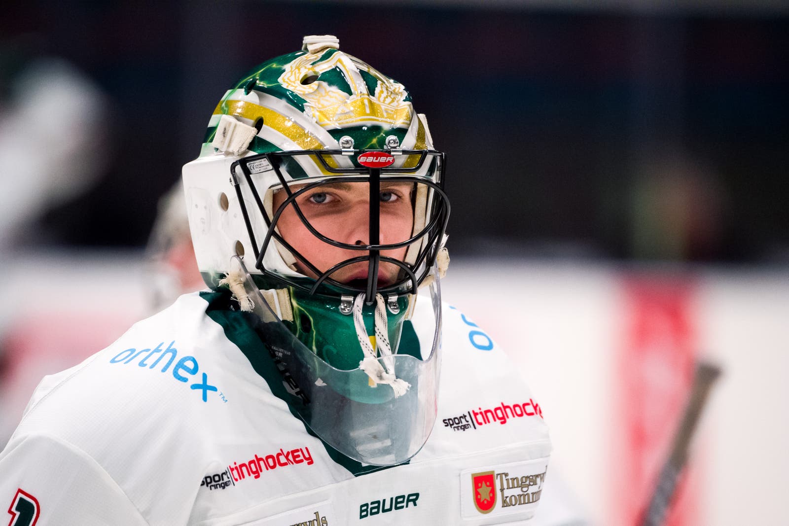 (8142) andreas ljunggren