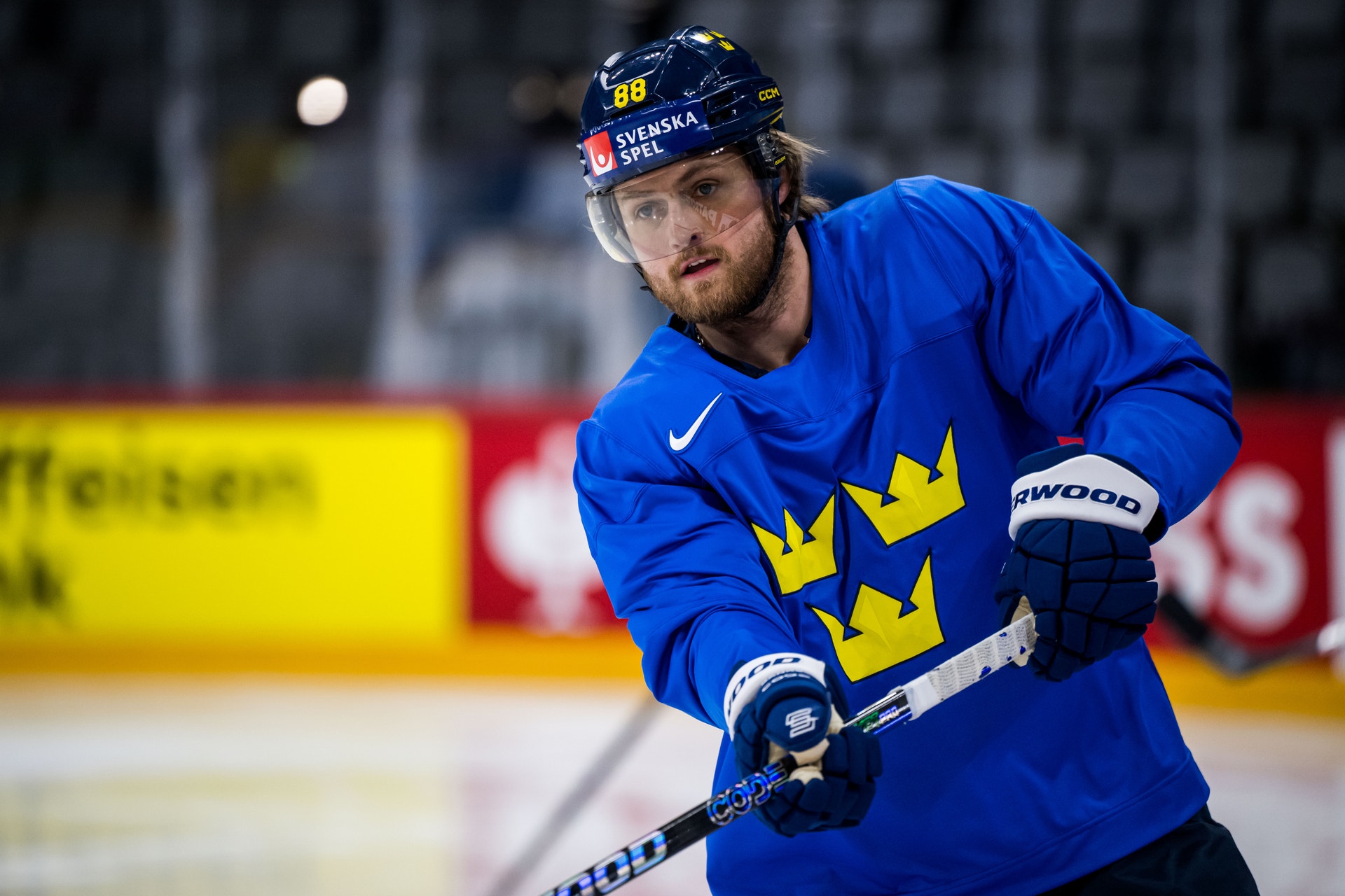 William Nylander
