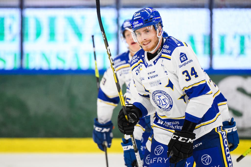 (15184) Peter Cehlarik/Leksands IF