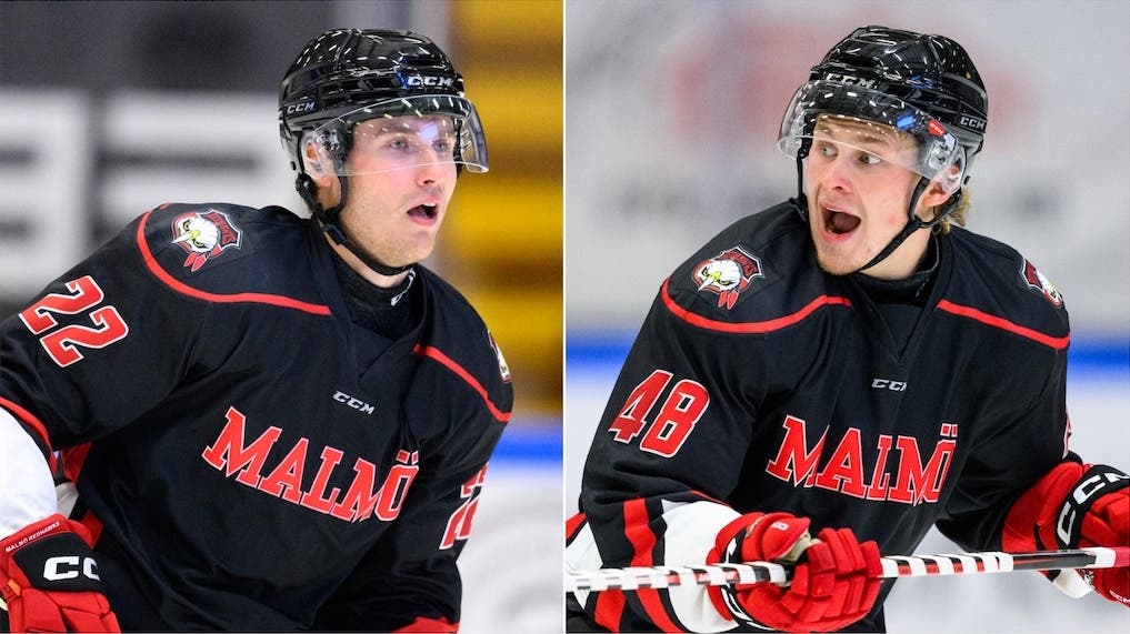 (28701) Janne Kuokkanen Lauri Pajuniemi