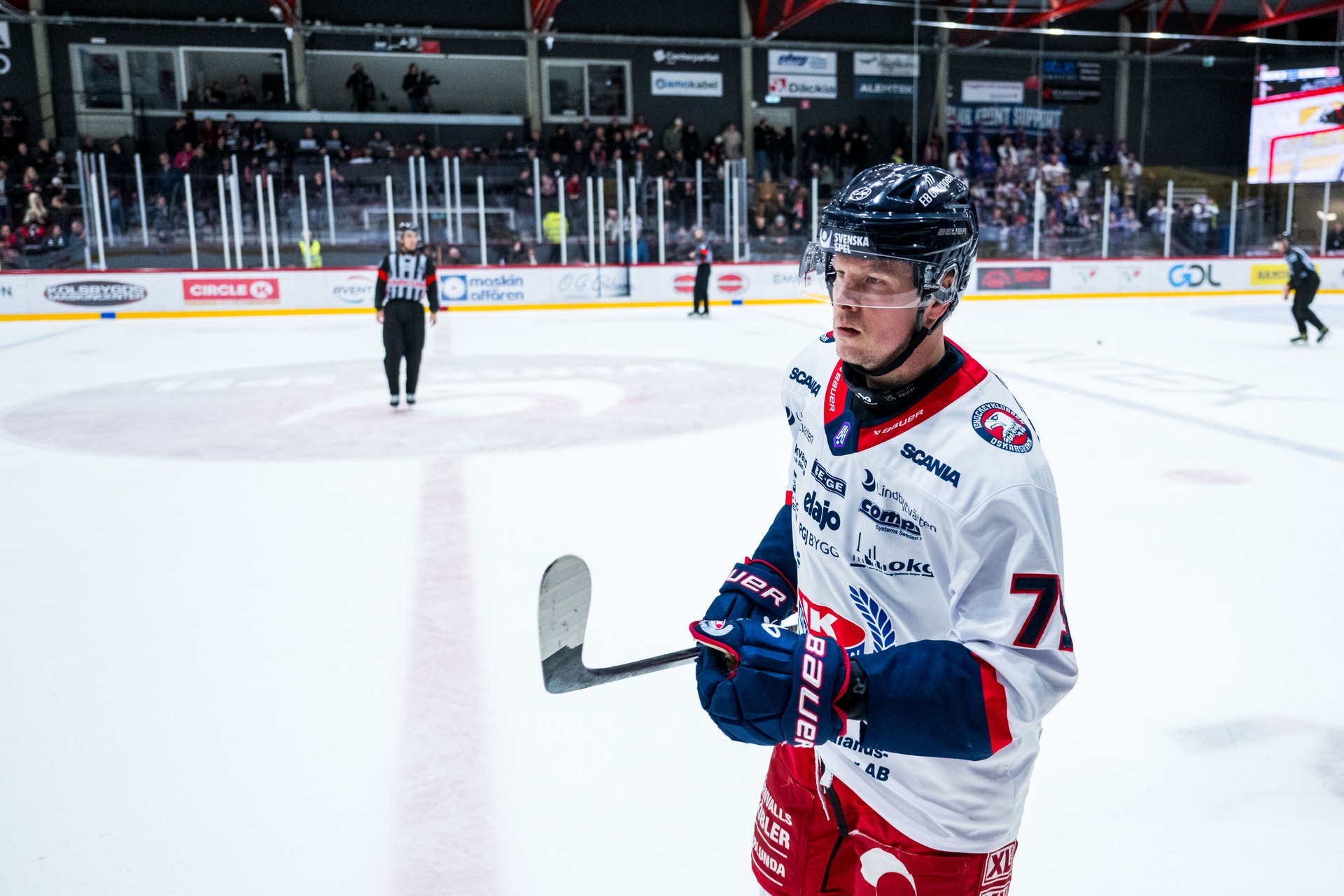 Teemu Lepaus