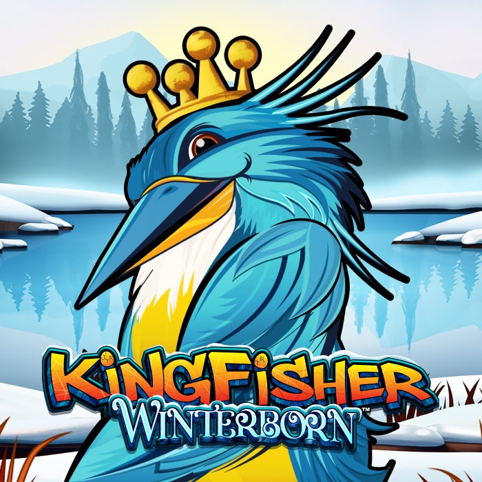 Kingfisher Winterborn