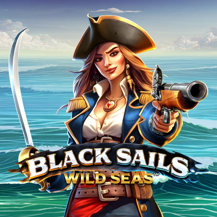 Black Sails Wild Seas