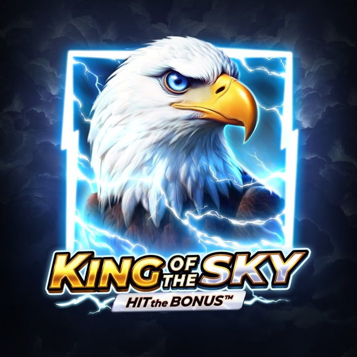 King of the Sky: Hit the Bonus