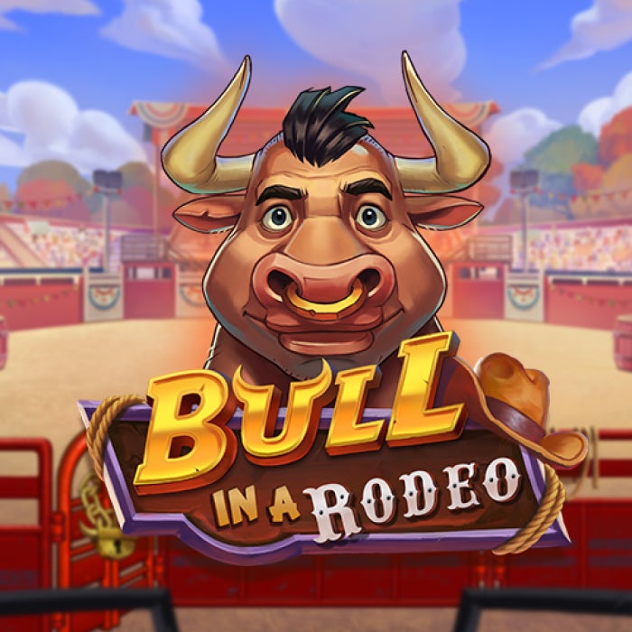 Bull in a Rodeo