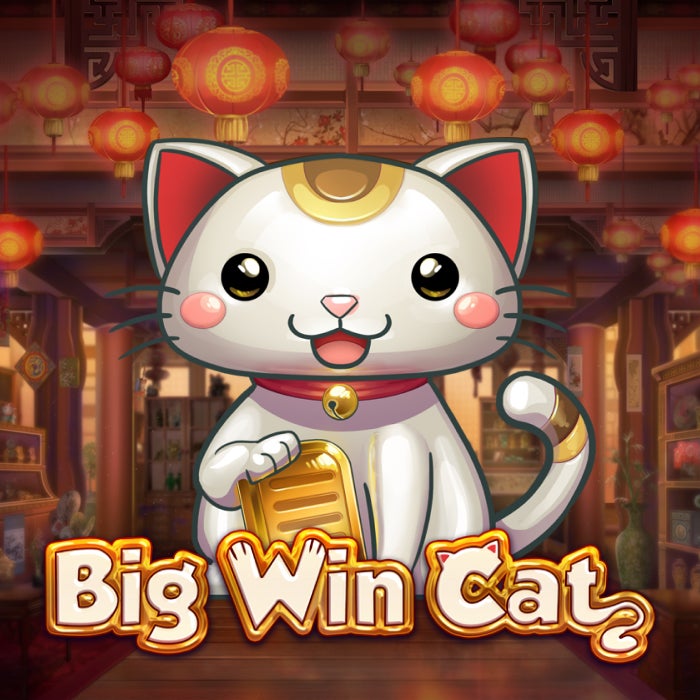 Big Win Cat