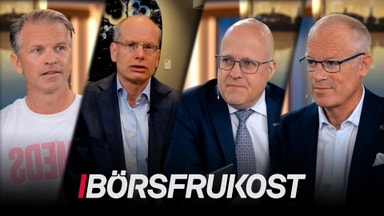 Rapportspecial: Alfa och Boliden bland dagens höjdpunkter