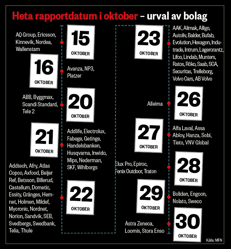 rapporter