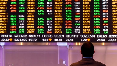 Aktierna som faller under börsfesten