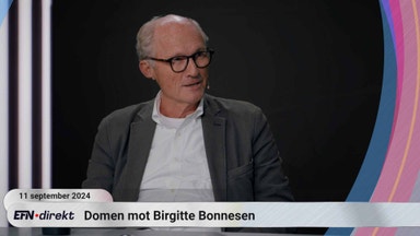 Qviberg: Bonnesen straffas för att hon är danska