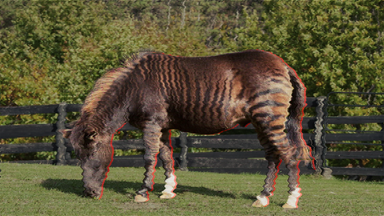 Det här missar nästan alla om AI
