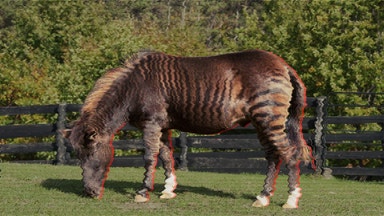 Det här missar nästan alla om AI