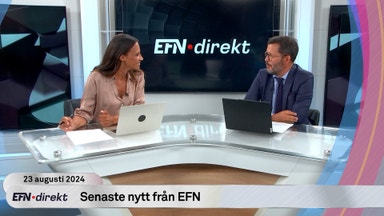 Tidigare finansministern: ”Lågkonjunkturen blir djupare”