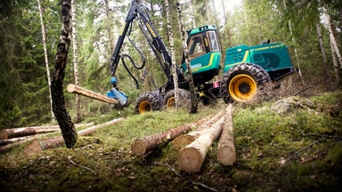 Nya förslaget: Så ska fler våga satsa på skogen