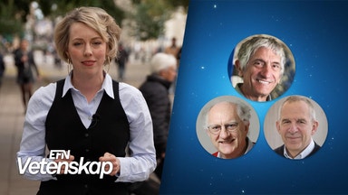 En ny digital epok med kvantdatorer