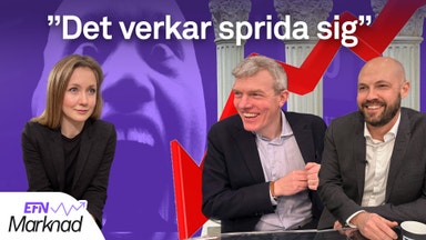 Börsens skräckvecka efter bankkollapsen i USA